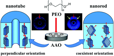 Graphical abstract: Crystal orientation of PEO confined within the nanorod templated by AAO nanochannels