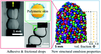 Graphical abstract: Skinny emulsions take on granular matter