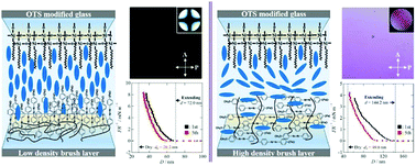 Graphical abstract: Engineering the anchoring behavior of nematic liquid crystals on a solid surface by varying the density of liquid crystalline polymer brushes