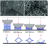 Graphical abstract: Multi-scale progressive failure mechanism and mechanical properties of nanofibrous polyurea aerogels