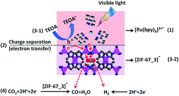 Graphical abstract: Metal–organic frameworks (ZIF-67) as efficient cocatalysts for photocatalytic reduction of CO2: the role of the morphology effect