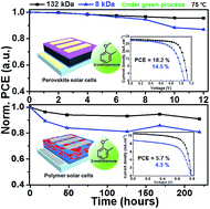 Graphical abstract: Green-solvent processable semiconducting polymers applicable in additive-free perovskite and polymer solar cells: molecular weights, photovoltaic performance, and thermal stability