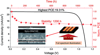 Graphical abstract: A ternary organic electron transport layer for efficient and photostable perovskite solar cells under full spectrum illumination
