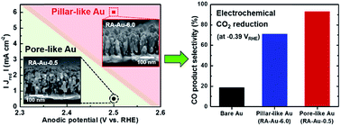 Graphical abstract: Morphology-controlled Au nanostructures for efficient and selective electrochemical CO2 reduction