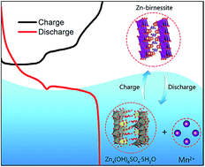 Graphical abstract: Unravelling the reaction chemistry and degradation mechanism in aqueous Zn/MnO2 rechargeable batteries