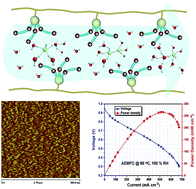 Graphical abstract: Anion exchange membranes with branched ionic clusters for fuel cells