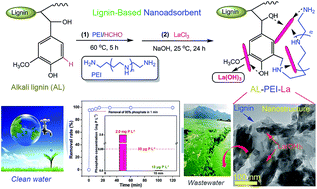 Graphical abstract: A lignin-based nano-adsorbent for superfast and highly selective removal of phosphate