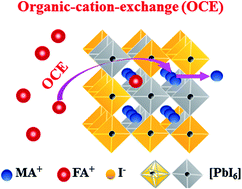 Graphical abstract: Direct observation of cation-exchange in liquid-to-solid phase transformation in FA1−xMAxPbI3 based perovskite solar cells