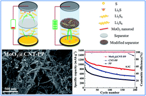 Graphical abstract: An interwoven MoO3@CNT scaffold interlayer for high-performance lithium–sulfur batteries