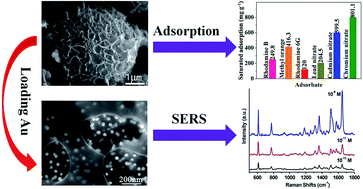 Graphical abstract: Hierarchical porous carbon microspheres with superhydrophilic surface for efficient adsorption and detection of water-soluble contaminants