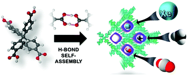 Graphical abstract: Flexible porous molecular materials responsive to CO2, CH4 and Xe stimuli