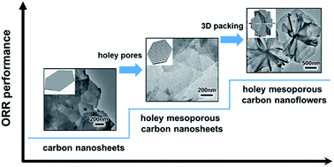 Graphical abstract: Nitrogen-doped carbon nanosheets and nanoflowers with holey mesopores for efficient oxygen reduction catalysis