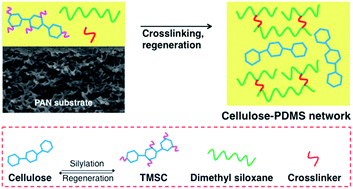 Graphical abstract: Unique cellulose/polydimethylsiloxane blends as an advanced hybrid material for organic solvent nanofiltration and pervaporation membranes