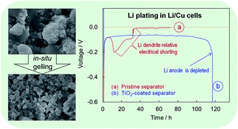 Graphical abstract: Preventing lithium dendrite-related electrical shorting in rechargeable batteries by coating separator with a Li-killing additive