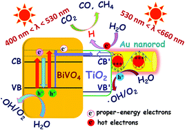 Graphical abstract: Dimension-matched plasmonic Au/TiO2/BiVO4 nanocomposites as efficient wide-visible-light photocatalysts to convert CO2 and mechanistic insights
