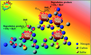 Graphical abstract: Facile synthesis of NiS2 nanoparticles ingrained in a sulfur-doped carbon nitride framework with enhanced visible light photocatalytic activity: two functional roles of thiourea