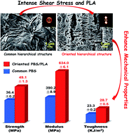 Graphical abstract: Largely enhanced mechanical performance of poly(butylene succinate) multiple system via shear stress-induced orientation of the hierarchical structure