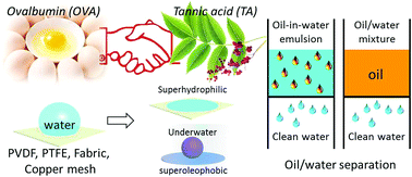Graphical abstract: Tannic acid encountering ovalbumin: a green and mild strategy for superhydrophilic and underwater superoleophobic modification of various hydrophobic membranes for oil/water separation