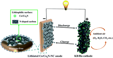 Graphical abstract: Lithiophilic Co/Co4N nanoparticles embedded in hollow N-doped carbon nanocubes stabilizing lithium metal anodes for Li–air batteries