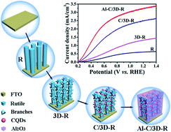 Graphical abstract: Alumina anchored CQDs/TiO2 nanorods by atomic layer deposition for efficient photoelectrochemical water splitting under solar light