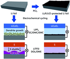 Graphical abstract: Lithium phosphide/lithium chloride coating on lithium for advanced lithium metal anode