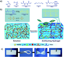 Graphical abstract: Preventing diatom adhesion using a hydrogel with an orthosilicic acid analog as a deceptive food