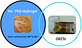 Graphical abstract: A Na+ conducting hydrogel for protection of organic electrochemical transistors