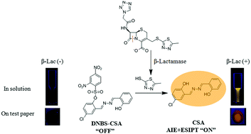 Graphical abstract: A simple design of fluorescent probes for indirect detection of β-lactamase based on AIE and ESIPT processes