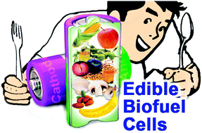 Graphical abstract: Fully edible biofuel cells