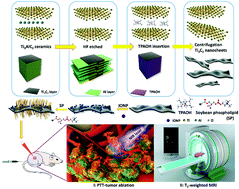 Graphical abstract: 2D magnetic titanium carbide MXene for cancer theranostics