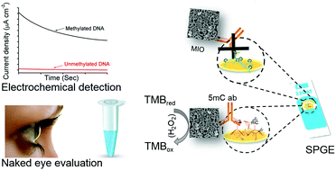 Graphical abstract: Porous nanozymes: the peroxidase-mimetic activity of mesoporous iron oxide for the colorimetric and electrochemical detection of global DNA methylation