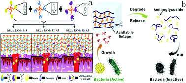 Graphical abstract: Recent developments in smart antibacterial surfaces to inhibit biofilm formation and bacterial infections