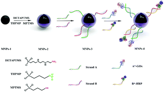 Graphical abstract: Multifunctional magnetic particles for effective suppression of non-specific adsorption and coimmobilization of multiple enzymes by DNA directed immobilization