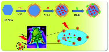 Graphical abstract: Targeted hexagonal Pd nanosheet combination therapy for rheumatoid arthritis via the photothermal controlled release of MTX