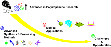 Graphical abstract: Polydopamine nanostructures as biomaterials for medical applications