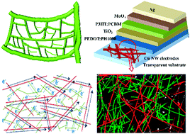 Graphical abstract: ‘Leaf vein’ inspired structural design of Cu nanowire electrodes for the optimization of organic solar cells