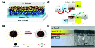 Graphical abstract: Broadband hybrid organic/CuInSe2 quantum dot photodetectors