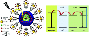 Graphical abstract: Enhanced NIR-I emission from water-dispersible NIR-II dye-sensitized core/active shell upconverting nanoparticles