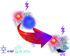 Graphical abstract: Dual-emissive gold nanoclusters for label-free and separation-free ratiometric fluorescence sensing of 4-nitrophenol based on the inner filter effect