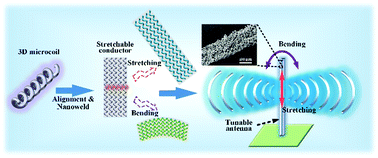 Graphical abstract: Stretchable conductors based on three-dimensional microcoils for tunable radio-frequency antennas