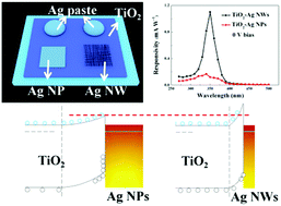 Graphical abstract: Efficiency enhancement of TiO2 self-powered UV photodetectors using a transparent Ag nanowire electrode