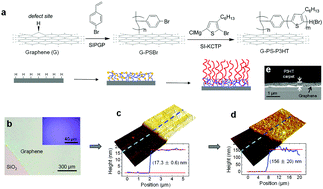 Graphical abstract: Bottom-up fabrication of graphene-based conductive polymer carpets for optoelectronics