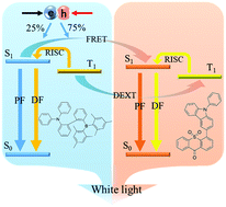 Graphical abstract: Highly efficient white light-emitting diodes with a bi-component emitting layer based on blue and yellow thermally activated delayed fluorescence emitters