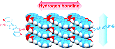 Graphical abstract: Hydrogen-bonded azaphenacene: a strategy for the organization of π-conjugated materials