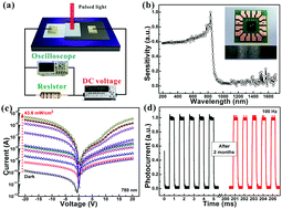 Graphical abstract: A room-temperature near-infrared photodetector based on a MoS2/CdTe p–n heterojunction with a broadband response up to 1700 nm