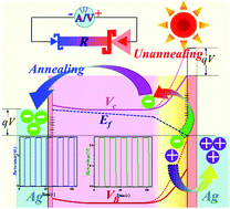 Graphical abstract: A surface state-controlled, high-performance, self-powered photovoltaic detector based on an individual SnS nanorod with a symmetrical electrode structure
