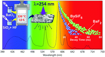 Graphical abstract: Fast luminescence from rare-earth-codoped BaSiF6 nanowires with high aspect ratios