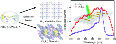 Graphical abstract: Millimeter-sized PbI2 flakes and Pb5S2I6 nanowires for flexible photodetectors