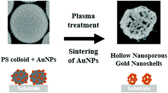 Graphical abstract: Fabrication of hollow nanoporous gold nanoshells with high structural tunability based on the plasma etching of polymer colloid templates