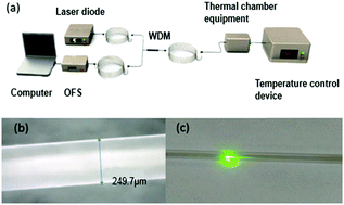 Graphical abstract: A portable all-fiber thermometer based on the fluorescence intensity ratio (FIR) technique in rare earth doped TeO2–WO3–La2O3–Na2O glass
